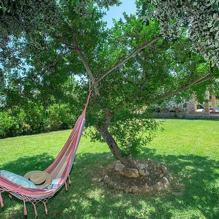 Owl Almadrava - Vacation Paradise