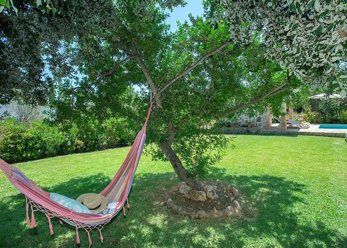 Owl Almadrava - Vacation Paradise